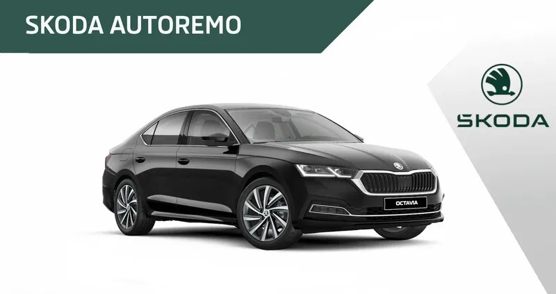 skoda octavia wasilków Skoda Octavia cena 143000 przebieg: 1, rok produkcji 2024 z Wasilków